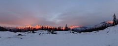 DSC00542a